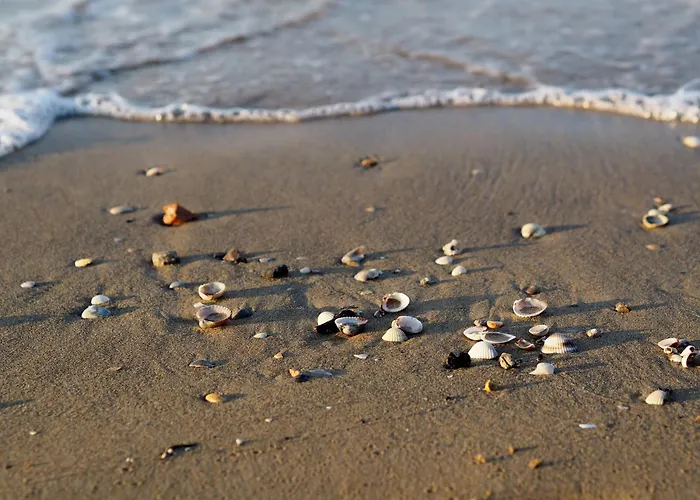 Cozy And Modern Front Daire Bibione